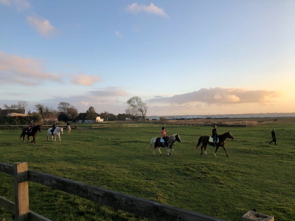 Birkelygaard 🌱 Bed & Breakfast & Gæstehus i Faldsled